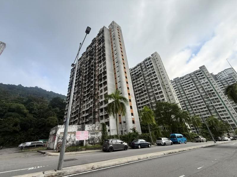 Rumah Flat untuk Dijual di Taman Terubong Indah (Majestic Heights) - Amanda Lam - Exterior - PropertyGuru.com.my