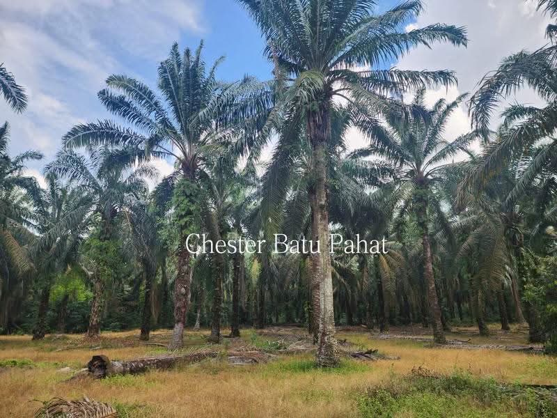 Agricultural Land for Sale in Kampung Bindu (Batu Pahat) - ZG Law - PropertyGuru.com.my