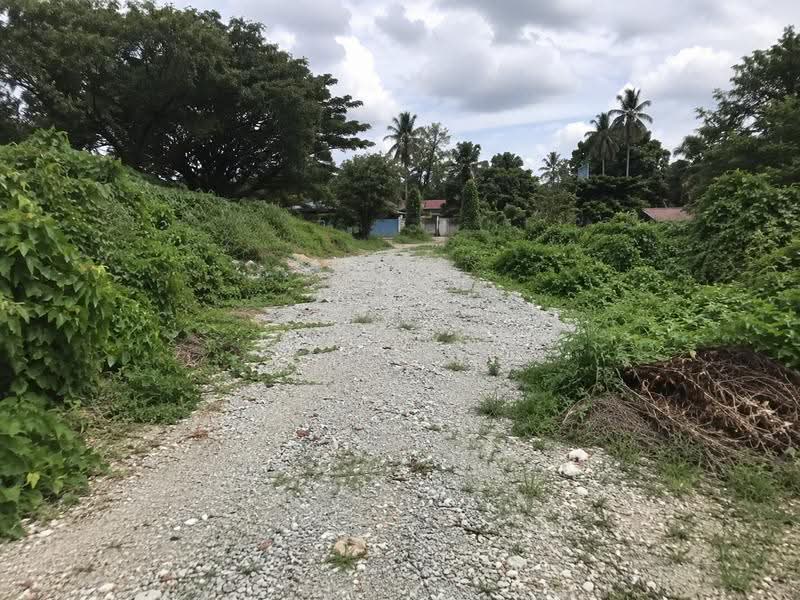 Agricultural Land for Sale in Kampung Baru Subang (Sungai Buloh) - Eric Yap - Exterior - PropertyGuru.com.my