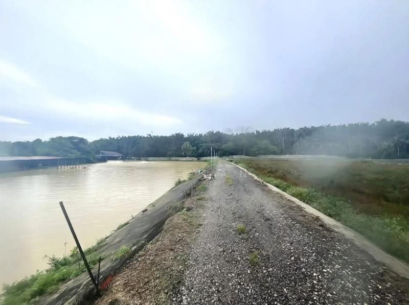 Tanah Pertanian untuk Dijual di Tanjong Karang (Selangor) - CS Tan - Exterior - PropertyGuru.com.my