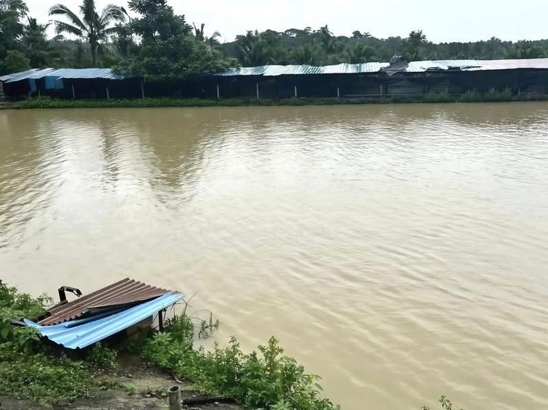 Tanah Pertanian untuk Dijual di Tanjong Karang (Selangor) - CS Tan - PropertyGuru.com.my