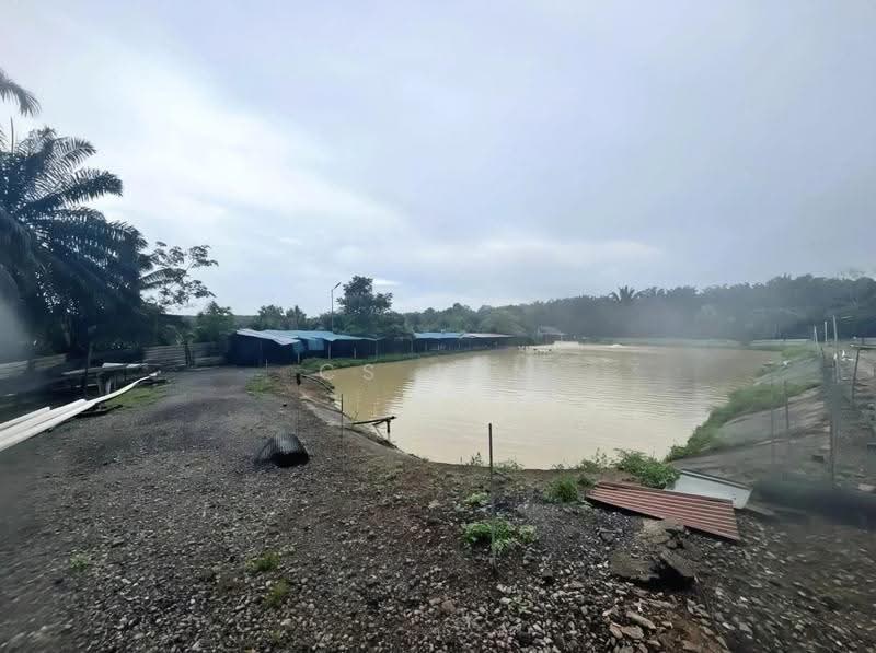 Tanah Pertanian untuk Dijual di Tanjong Karang (Selangor) - CS Tan - Exterior - PropertyGuru.com.my