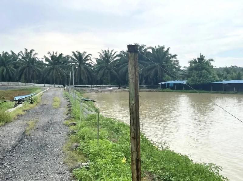 Tanah Pertanian untuk Dijual di Tanjong Karang (Selangor) - CS Tan - Exterior - PropertyGuru.com.my