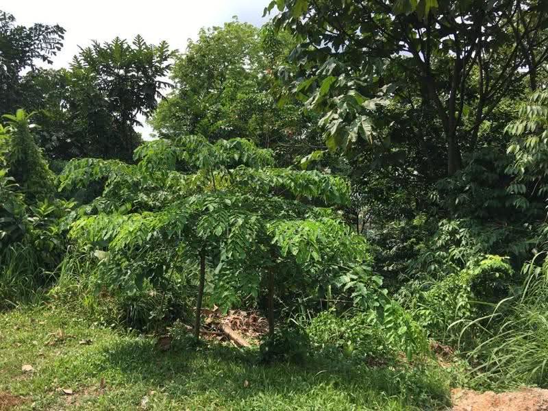 Tanah Kediaman untuk Dijual di Seksyen 5 (Petaling Jaya) - Alvin Seah - Exterior - PropertyGuru.com.my
