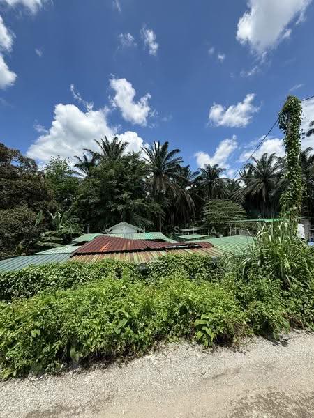 Agricultural Land for Sale in Kampung Sri Broga (Semenyih) - Alvin Seah - Exterior - PropertyGuru.com.my