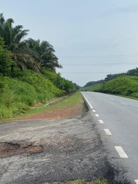 Tanah Pertanian untuk Dijual di Kulai (Johor) - Kelly Wai - Exterior - PropertyGuru.com.my