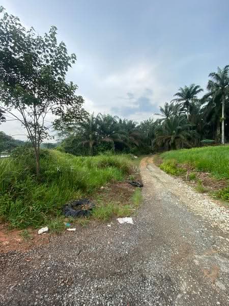 Tanah Pertanian untuk Dijual di Kulai (Johor) - Kelly Wai - Exterior - PropertyGuru.com.my