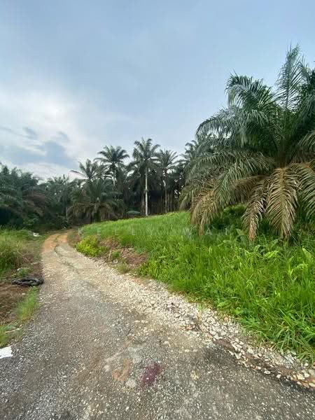 Tanah Pertanian untuk Dijual di Kulai (Johor) - Kelly Wai - Exterior - PropertyGuru.com.my