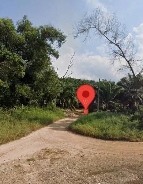 Tanah Pertanian untuk Dijual di Kota Tinggi (Johor) - Kelly Wai - Exterior - PropertyGuru.com.my
