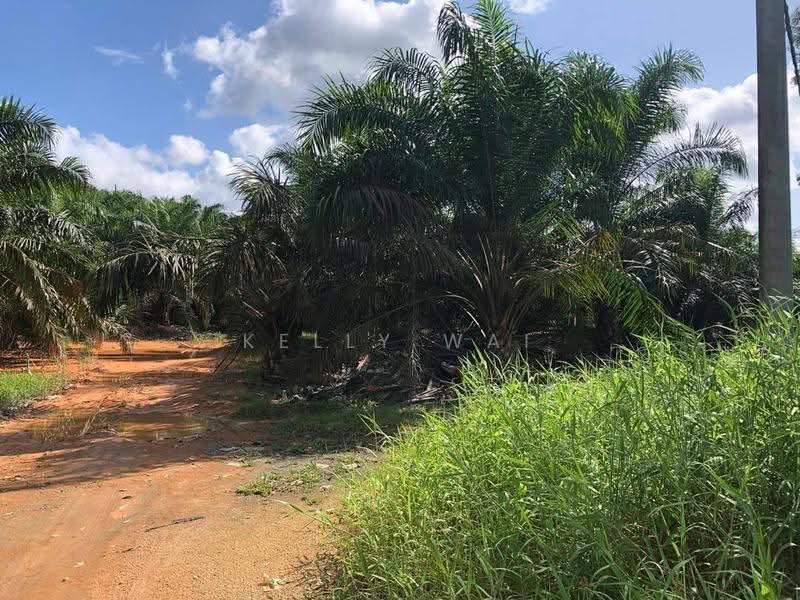 Tanah Pertanian untuk Dijual di Kota Tinggi (Johor) - Kelly Wai - Exterior - PropertyGuru.com.my