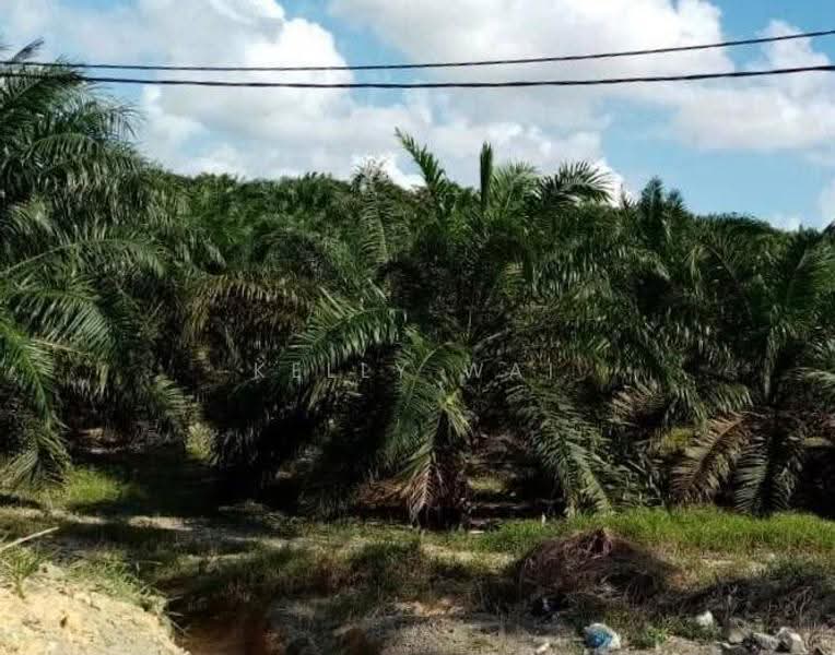 Tanah Pertanian untuk Dijual di Kota Tinggi (Johor) - Kelly Wai - Exterior - PropertyGuru.com.my
