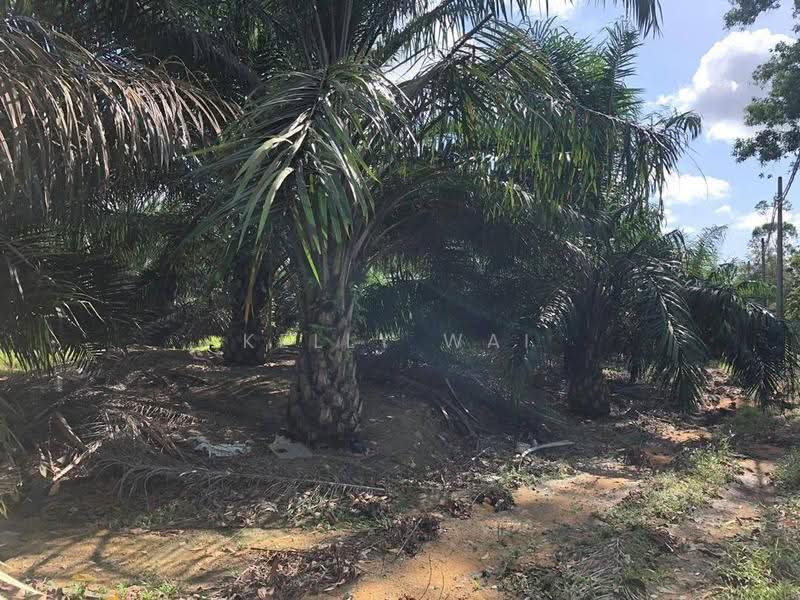Tanah Pertanian untuk Dijual di Kota Tinggi (Johor) - Kelly Wai - Exterior - PropertyGuru.com.my