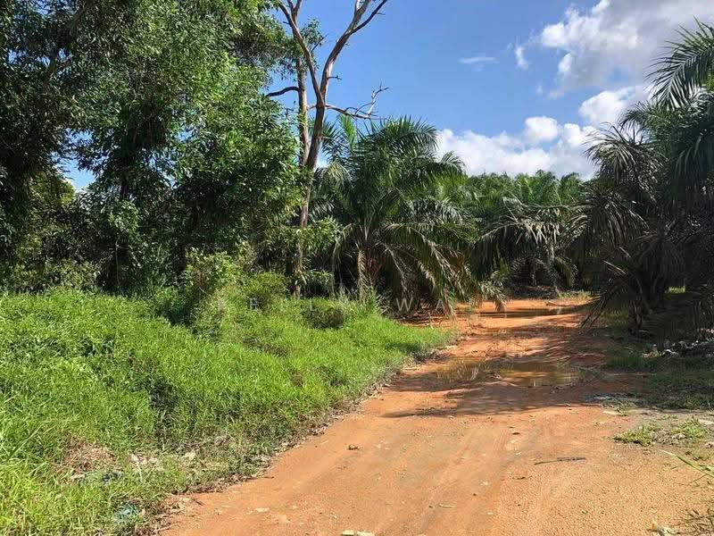 Tanah Pertanian untuk Dijual di Kota Tinggi (Johor) - Kelly Wai - Exterior - PropertyGuru.com.my