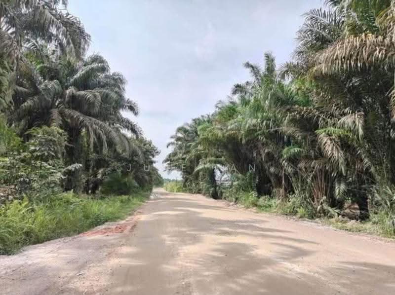 Agricultural Land for Sale in Ulu Choh (Jeram Batu) - June Tan - Exterior - PropertyGuru.com.my