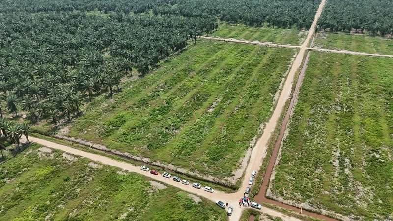 Tanah Perindustrian untuk Dijual di Pulau Carey (Selangor) - Amir Abas - Exterior - PropertyGuru.com.my