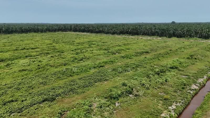 Tanah Perindustrian untuk Dijual di Pulau Carey (Selangor) - Amir Abas - Exterior - PropertyGuru.com.my