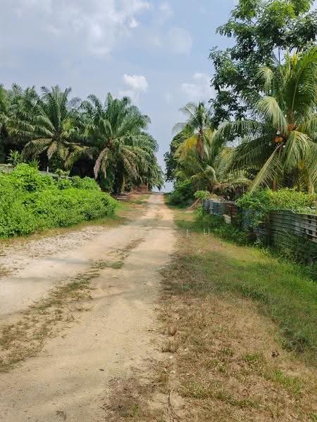 Access road