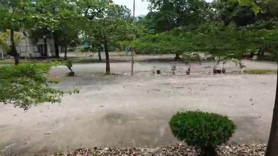 Tanah Komersial untuk Disewa di Klang (Selangor) - Adam Foo - PropertyGuru.com.my