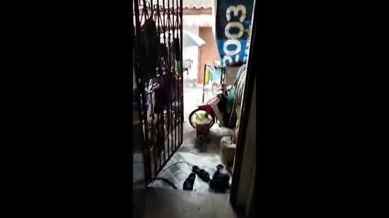 Rumah Teres 1-Tingkat untuk Dijual di Taman Sri Serdang (Seri Kembangan) - Joe Chan - PropertyGuru.com.my