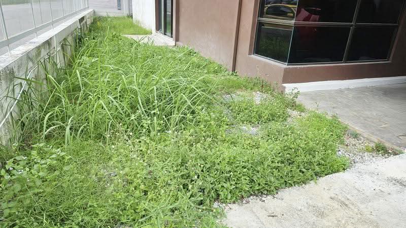 Rumah Teres untuk Dijual di Prima Selayang (Selayang) - Elaine Loke - Exterior - PropertyGuru.com.my