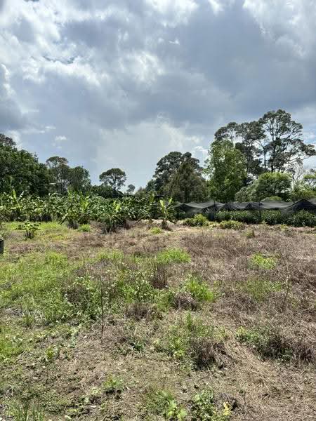 Agricultural Land for Sale in Kampung Sri Broga (Semenyih) - Alvin Seah - Exterior - PropertyGuru.com.my