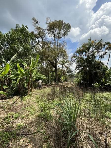 Agricultural Land for Sale in Kampung Sri Broga (Semenyih) - Alvin Seah - Exterior - PropertyGuru.com.my