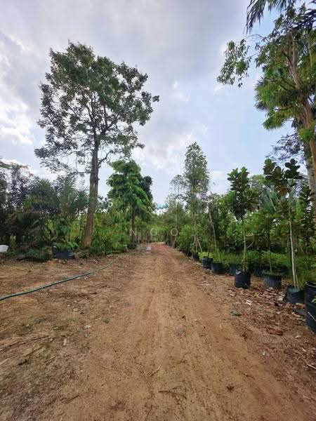 Agricultural Land for Sale in Batu Pahat (Johor) - NGO - Exterior - PropertyGuru.com.my