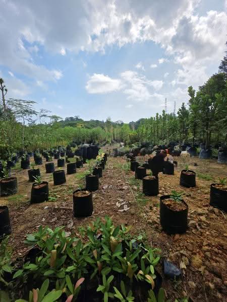 Agricultural Land for Sale in Batu Pahat (Johor) - NGO - Exterior - PropertyGuru.com.my