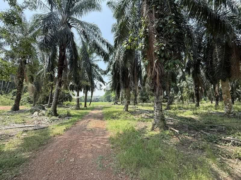 Residential Land for Sale in Kampung Bintang (Batu Pahat) - NGO - Exterior - PropertyGuru.com.my