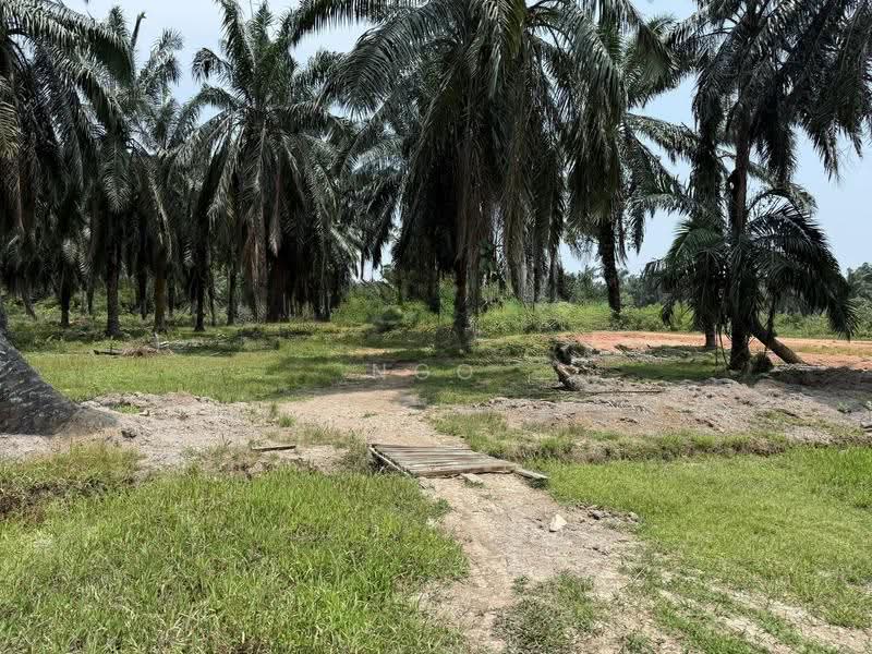 Residential Land for Sale in Kampung Bintang (Batu Pahat) - NGO - Exterior - PropertyGuru.com.my