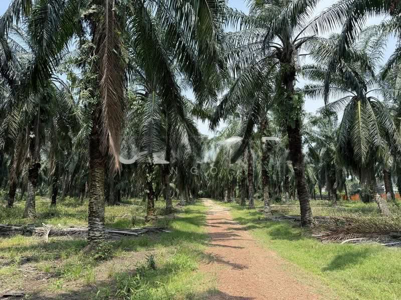 Residential Land for Sale in Kampung Bintang (Batu Pahat) - NGO - Exterior - PropertyGuru.com.my