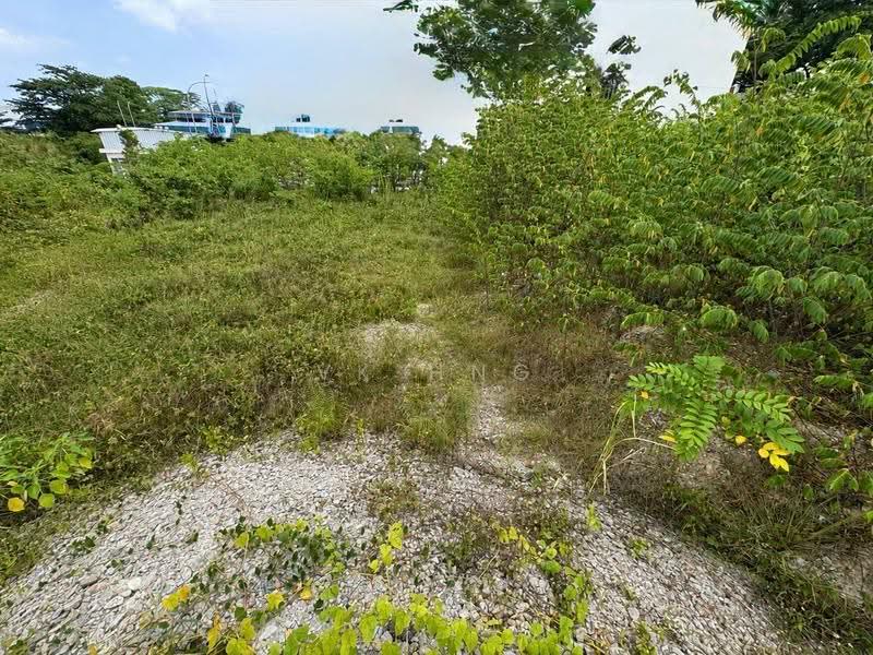 Tanah Perindustrian untuk Disewa di Tampoi (Johor) - VK Hng - Exterior - PropertyGuru.com.my