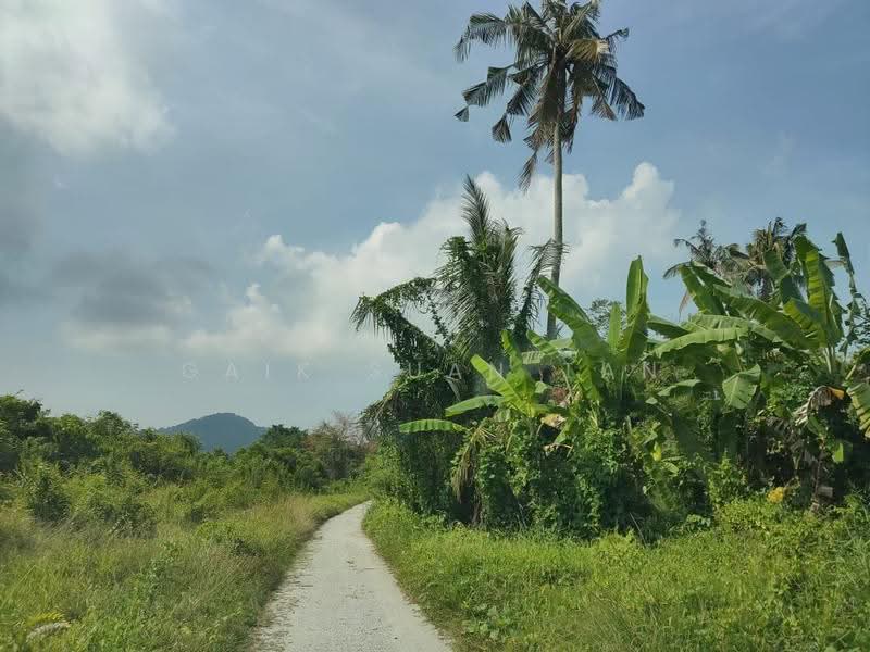 Tanah Pertanian untuk Dijual di Kampung Perlis (Balik Pulau) - Gaik Suan Tan - Exterior - PropertyGuru.com.my