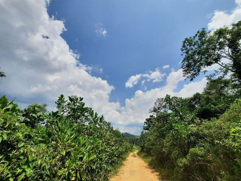 Agricultural Land for Sale in Semenyih (Selangor) - Philip Chung - Exterior - PropertyGuru.com.my