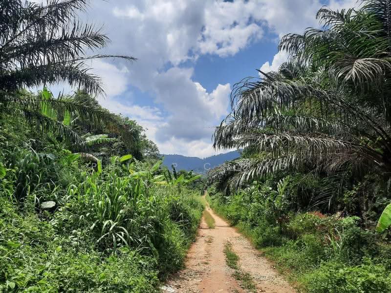 Agricultural Land for Sale in Semenyih (Selangor) - Philip Chung - Exterior - PropertyGuru.com.my