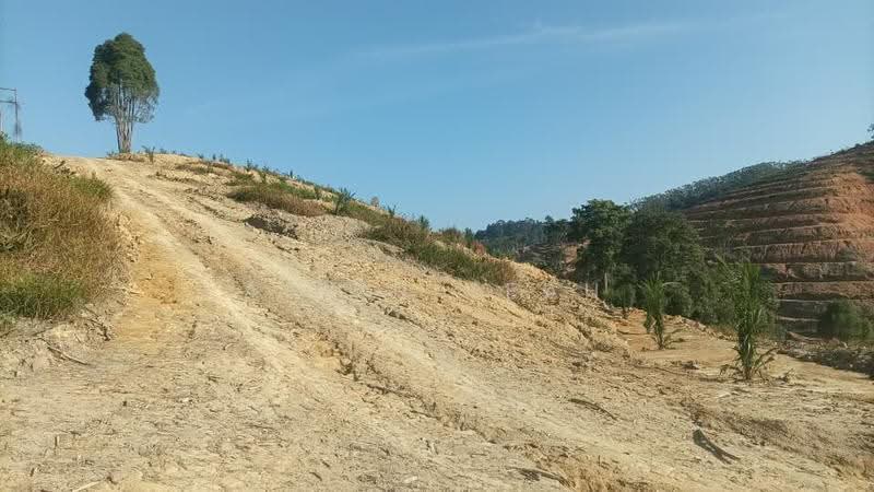 Agricultural Land for Sale in Kampung Batu 3 Segari (Lumut) - Alvin Seah - Exterior - PropertyGuru.com.my