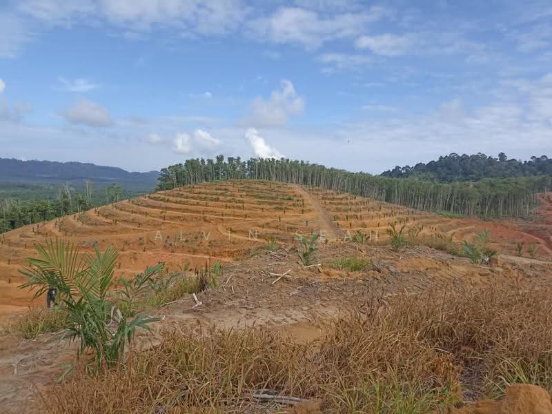 Agricultural Land for Sale in Kampung Batu 3 Segari (Lumut) - Alvin Seah - Exterior - PropertyGuru.com.my