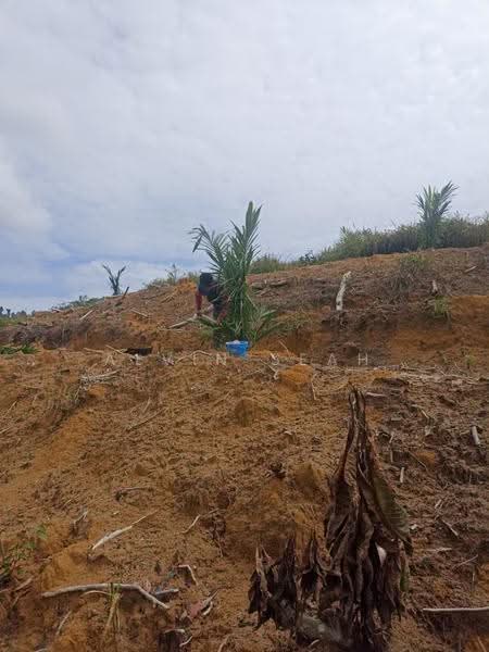Agricultural Land for Sale in Kampung Batu 3 Segari (Lumut) - Alvin Seah - Exterior - PropertyGuru.com.my