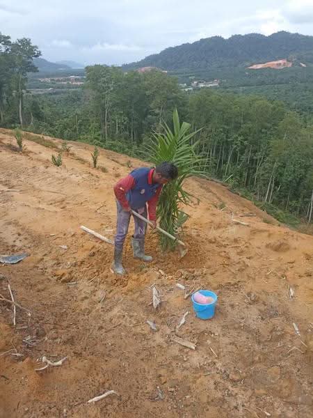 Agricultural Land for Sale in Kampung Batu 3 Segari (Lumut) - Alvin Seah - Exterior - PropertyGuru.com.my