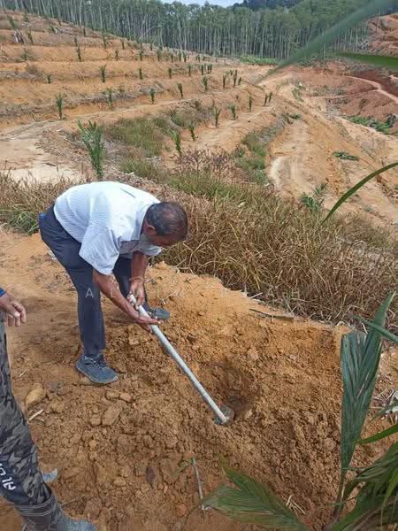 Agricultural Land for Sale in Kampung Batu 3 Segari (Lumut) - Alvin Seah - PropertyGuru.com.my