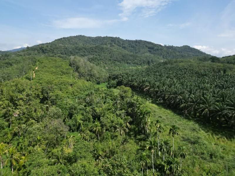 Agricultural Land for Sale in Lenggong (Perak) - Derrick Ng - Exterior - PropertyGuru.com.my