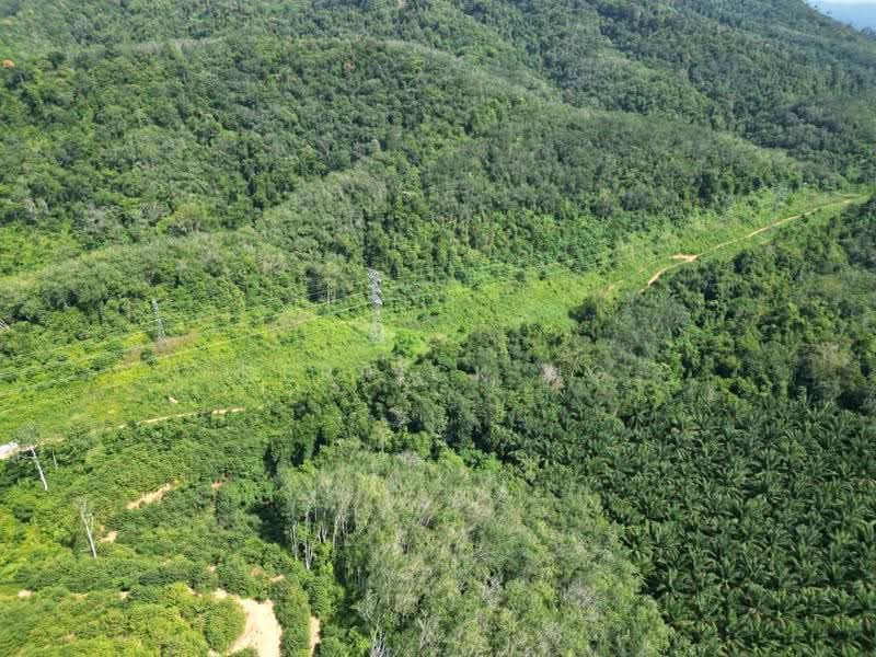 Agricultural Land for Sale in Lenggong (Perak) - Derrick Ng - Exterior - PropertyGuru.com.my