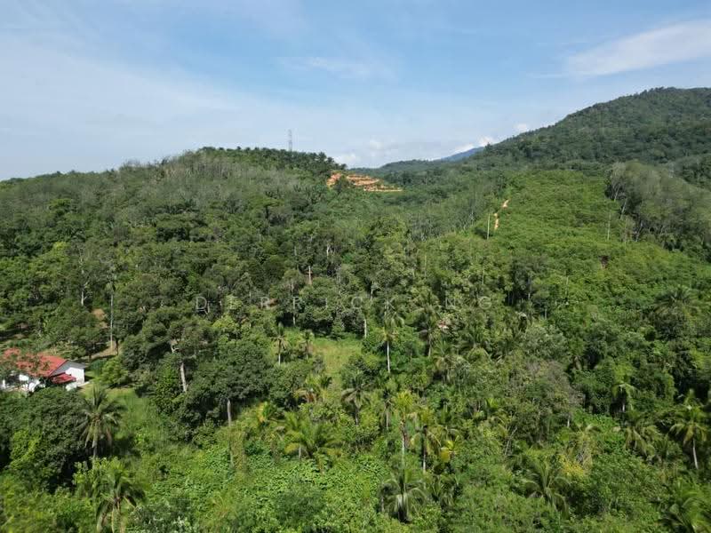 Agricultural Land for Sale in Lenggong (Perak) - Derrick Ng - Exterior - PropertyGuru.com.my