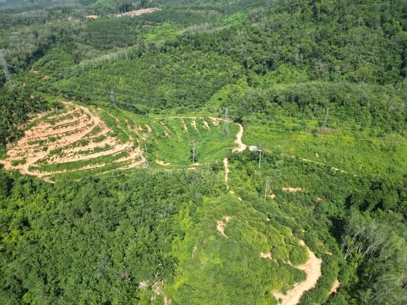 Agricultural Land for Sale in Lenggong (Perak) - Derrick Ng - Exterior - PropertyGuru.com.my