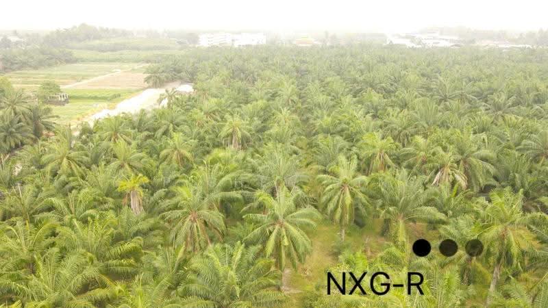 Tanah Perindustrian untuk Dijual di Kapar (Selangor) - Yap Chew Ying - Exterior - PropertyGuru.com.my