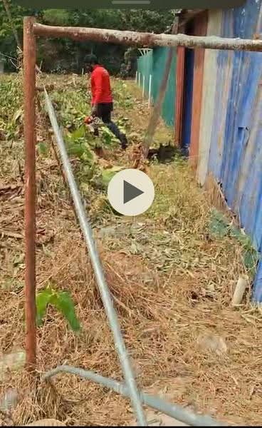Bungalow Land for Sale in Petaling Jaya (Selangor) - Michelle Yun - PropertyGuru.com.my