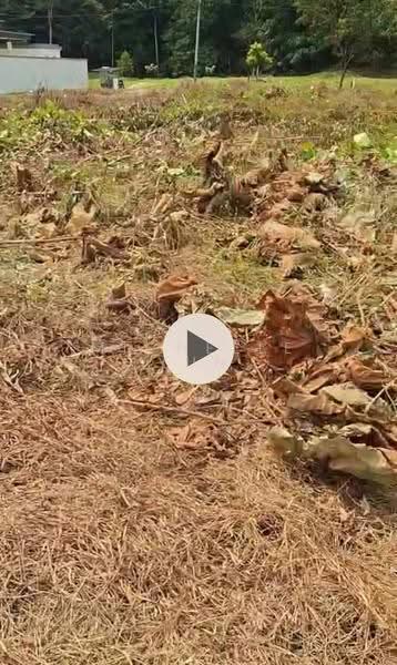 Bungalow Land for Sale in Petaling Jaya (Selangor) - Michelle Yun - Exterior - PropertyGuru.com.my
