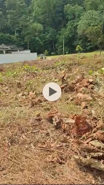 Bungalow Land for Sale in Petaling Jaya (Selangor) - Michelle Yun - PropertyGuru.com.my