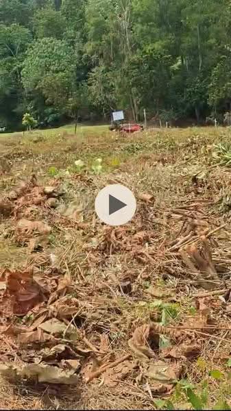 Bungalow Land for Sale in Petaling Jaya (Selangor) - Michelle Yun - Exterior - PropertyGuru.com.my