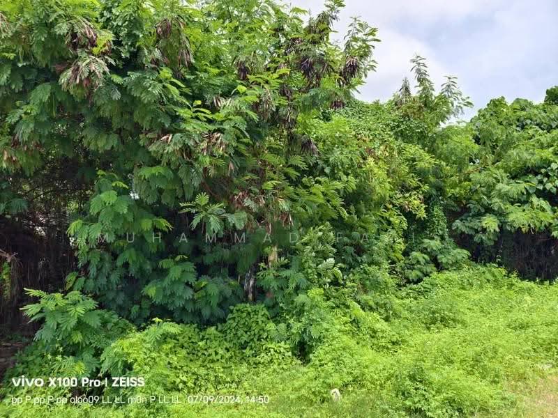 Commercial Land for Sale in Kota Bharu (Kelantan) - Muhammad Faris - PropertyGuru.com.my